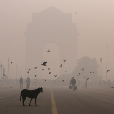 Delhi oli vuonna 2020 maailman saastunein pääkaupunki