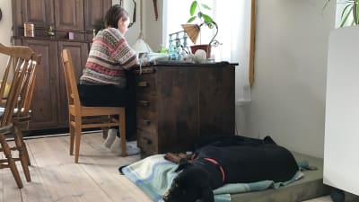 Carolina Beijar läser vid skrivbordet. Hunden Rocca ligger på golvet.