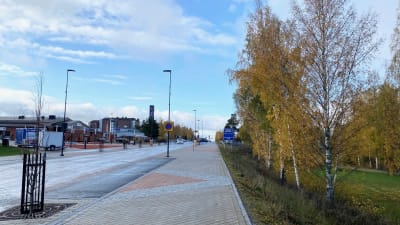 Korsholmsvägen med björkar till höger och butik längre fram.