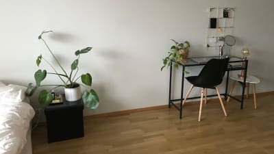 Ett bord med en grönväxt. 