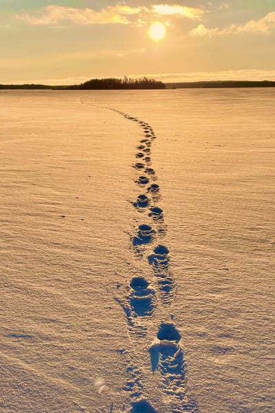 Fotspår på isen på snön.