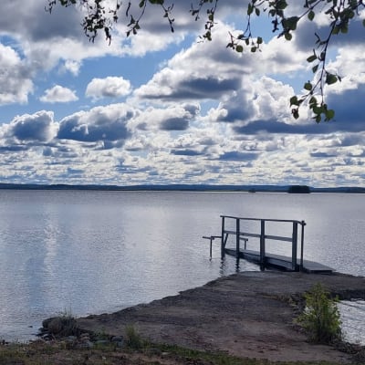 Järvimaisema.