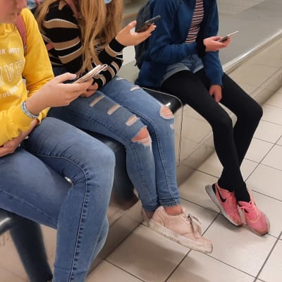 Tre ungdomar i rad ser på sina mobiltelefoner.