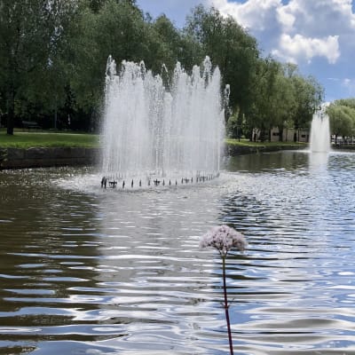 Kuvassa näkymä Suntista