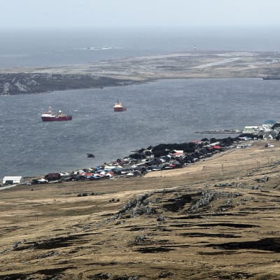 Intresset för Falklandsöarna har ökat efter att man har funnit tecken på oljefyndigheter i vattnen kring öarna