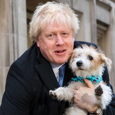 Boris Johnson poserade med sin hund Dylan i december 2019, långt innan han insjuknade i covid-19 och ändrade sin livsstil. 
