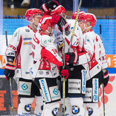 Vasa Sport är ett ishockeylag.