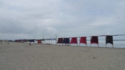 Strand i Ecuador 2014.