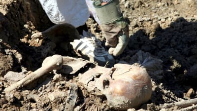 Experter identifierar kvarlevor i en massgrav  i Kasmenica, nära staden Zvornik. Bild från 14 augusti 2008.
