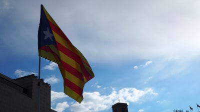Varianten av Senyeran, den katalanska flaggan, som har en vit stjärna mot ett blå trekant kallas Estelada blava. Den används av de som stöder självständighet.