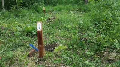 Trädplantering på gång i Östanåparken i Nickby.