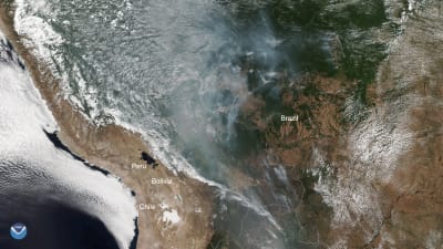Amerikanska satellitbilder visar hur Amazonas brinner både i Brasilien och i grannlandet Bolivia