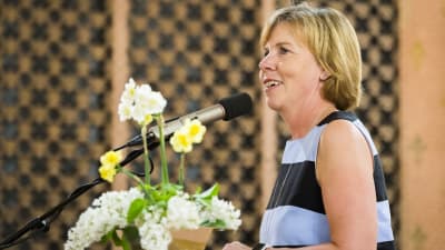 Anna-Maja Henriksson håller tal i Vasa stadshus inför parftidagen 2019.