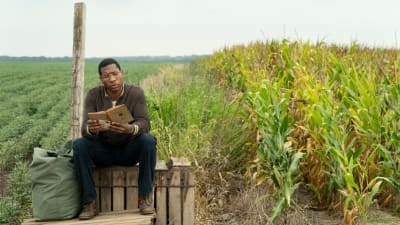 En man sitter på en trälåda vid ett majsfält och läser en bok. 