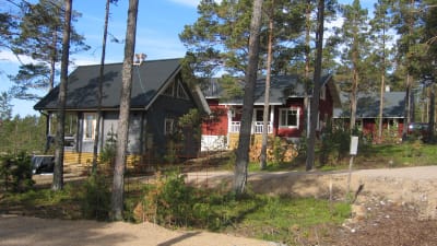 Två fritidsbostäder i en sluttning på en tallmo.