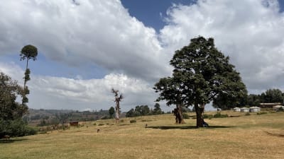Bild på landskap vid Mount Kenya.