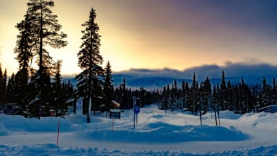 Vinterlandskap i Lappland