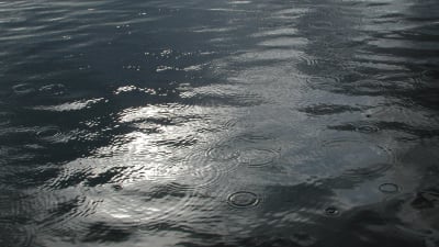 Hav eller sjö med ringar efter att vattendroppar fallit ner.