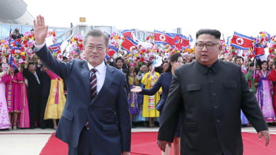 Moon Jae-In hälsades välkommen av Kim Jong-Un och hundratals flaggviftande, festklädda nordkoreaner