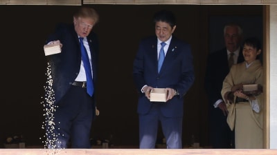 Trump matade karpar tillsammans med Japans premiärminister Shinzo Abe i Tokyo den 6 november 2017.