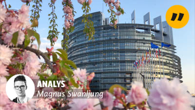 Europaparlamentet med blommor i förgunden.