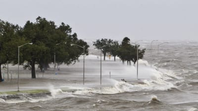 Orkanen Isaac härjar vid Lake Pontchartrain.