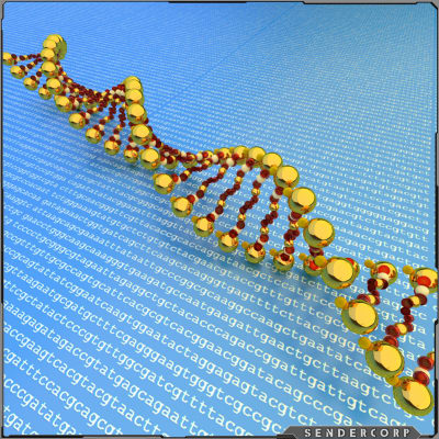 dna, arvsmassa