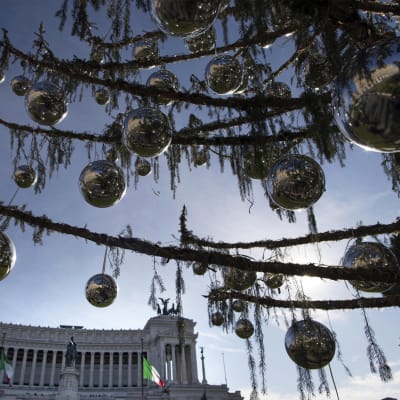 Barrlösa grenar på Roms julgran, pyntade med silverkulor.