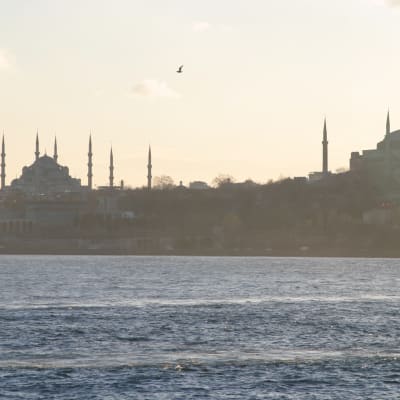 Blå moskén till vänster och Hagia Sofia till höger