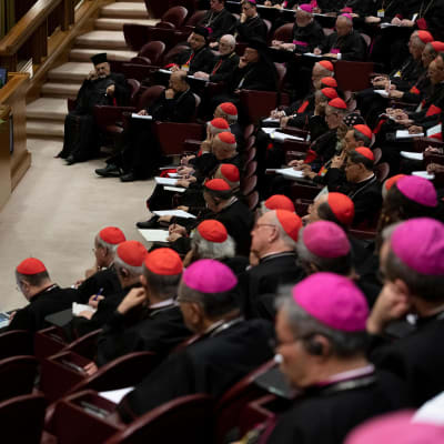 Katolisen kirkon ylin johto kokoontui neljäksi päiväksi Vatikaaniin keskustelemaan seksuaalisen hyväksikäytön estämisestä.