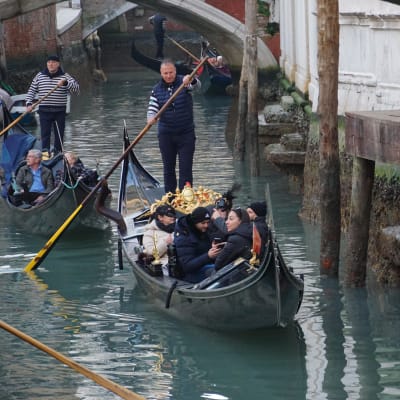 Gondoljärer styr gondoler genom en kanal i Venedig där vattennivån är betydligt lägre än normalt. På husväggarna intill ser man att vattennivån brukar vara cirka en meter högre.