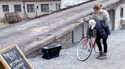 en kvinna med sin cykel och hund ute på ett lantbruk 