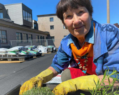 Angela Oker-Blom sitter vid på Kabelfabrikens tak bland sina odlingar. 