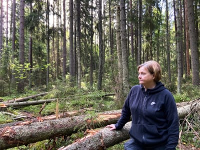 Paula Elomaa står i Linnaisskogen och blickar ut över fällda trädstammar.