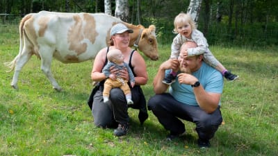 Iloinen pariskunta poseeraa kyykyssä, mukana myös vauva ja kaksivuotias, taustalla kulkee ohi valko-ruskea kyyttölehmä.
