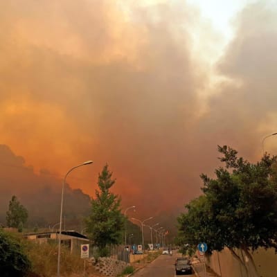 Lågor och rök sprider sig över staden Messina i Italien den 11 juli 2017.