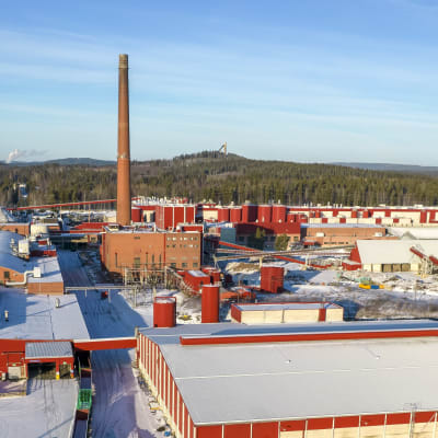 Kaipolan tehdasaluetta, keskellä voimalaitos.