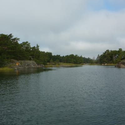 Gloskär hör till Skärgårdsmiljöstiftelsens naturskyddsområde sydost om Älgö.