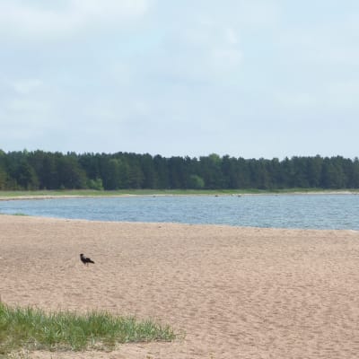 Bellevue badstrand.