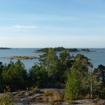 Vackra vyer vid Rävberget i Kopparnäs.