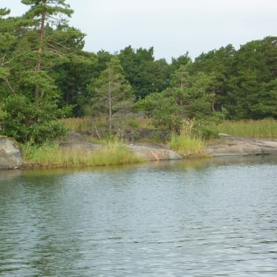 Gloskär är en del av Skärgårdsmiljöstiftelsens naturskyddsområde nordväst om Jussarö.