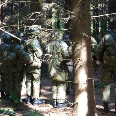 Beväringar i skog