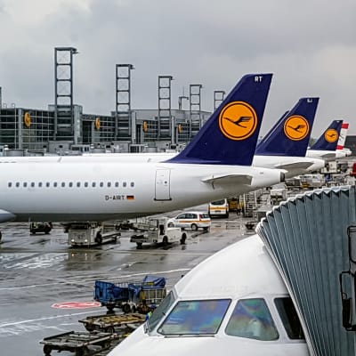 Lufthansan lentokoneita Frankfurtin lentokentällä Saksassa. 