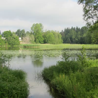 Pumpviken i Karis.