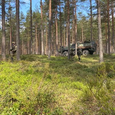 Soldater som går genom skogen. Ett militärfordon i bakgrunden.