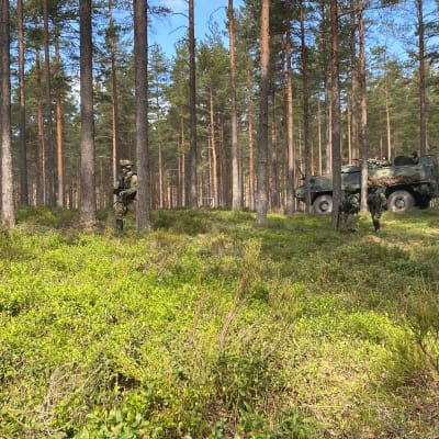 Soldater som går genom skogen. Ett militärfordon i bakgrunden.