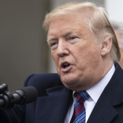 USAs president Donald Trump pekar. 