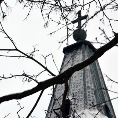 Ett kors på toppen av domkyrkan med grenar i silhuett mot bakgrunden.