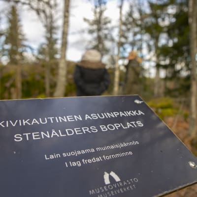 Museoviraston kyltti Järvensuon kivikautisella asuinpaikalla.