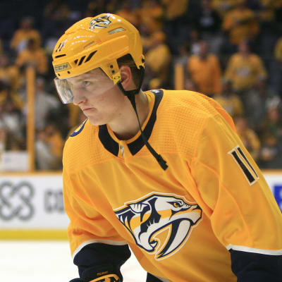 Eeli Tolvanen.